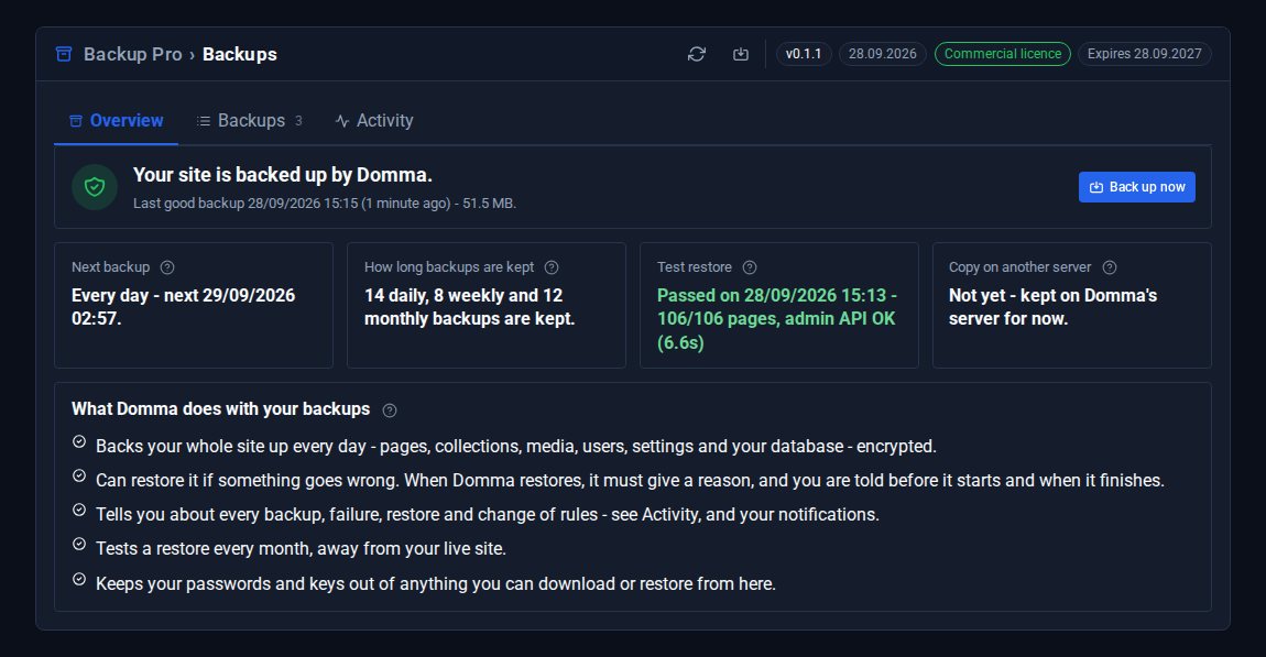 Backup Pro's Overview: the last good backup, the next nightly run, 14 daily, 8 weekly and 12 monthly backups kept, a passed test restore of 106 of 106 pages, and what Domma does with the backups